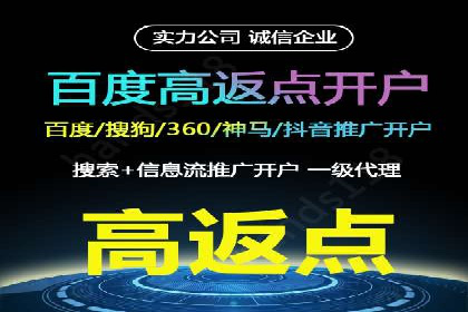 精准投放，高效转化——网站sem托管的胜利案例